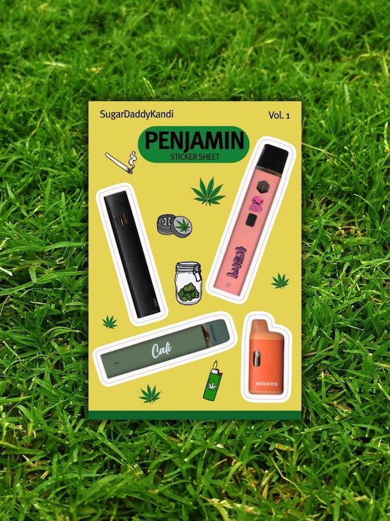 penjamin vape What is a Penjamin? All-in-One Disposable Vape by Franklin Fields main image 1