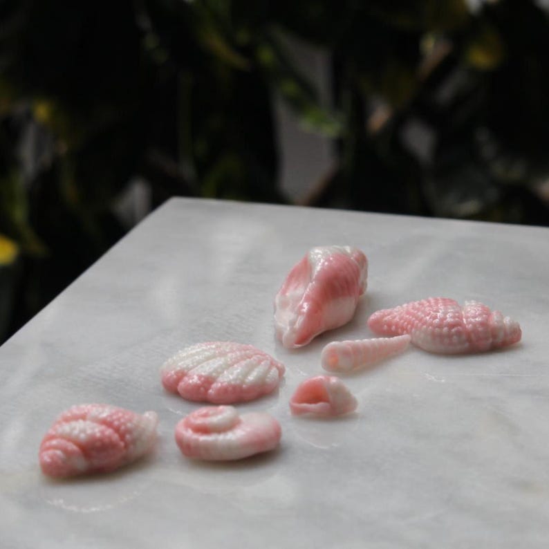 May include: A collection of seven pink and white seashells of various shapes and sizes. The shells are arranged on a white surface.