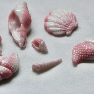 May include: Seven pink and white seashells of various shapes and sizes. The seashells are made of a smooth, glossy material and have a delicate, feminine appearance.