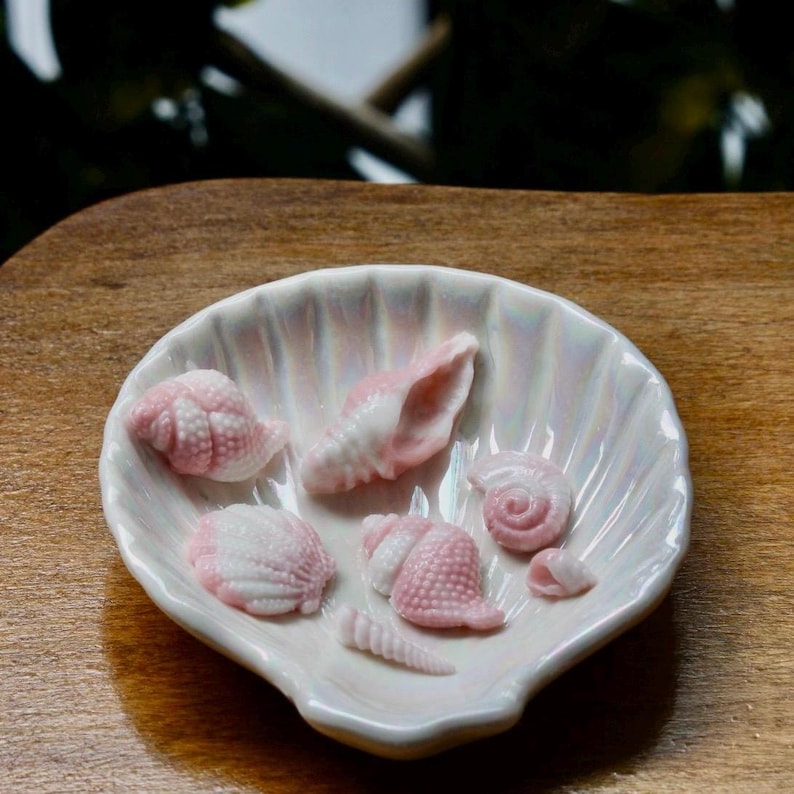 May include: A collection of small pink and white seashells arranged on a white iridescent seashell dish.