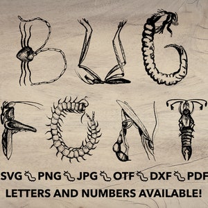 Op de afbeelding: Zwart-witte illustratie van het woord "BUG FONT" gemaakt met behulp van afbeeldingen van insecten. De letters zijn gemaakt van verschillende soorten insecten, zoals een spin, een duizendpoot, een kever en een libel. De tekst "SVG PNG JPG OTF DXF PDF LETTERS AND NUMBERS AVAILABLE!" staat onder het woord "BUG FONT".