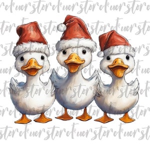 Three Funny Christmas Ducks with hat PNG, Christmas ducks png, Funny Christmas Png, Cute ducks png, Duck png, Christmas Animals
