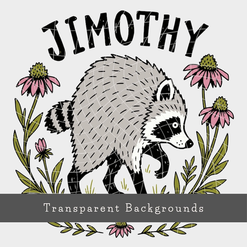 May include: A graphic illustration of a raccoon with grey fur and black markings, surrounded by pink coneflower blossoms and green leaves. The text JIMOTHY is arched above the raccoon in black letters. A grey banner reads Transparent Backgrounds.