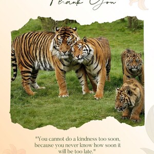 Firing Order Racing Shirt, V8 Engine Shirt, Mechanic Tee, Drag Racing ...