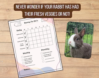 Rabbit Care Chart, Bunny Rabbit Daily Care, Rabbit Daily & Weekly Chore Chart, Task List Organizer for Kids, Adults, Pet Sitters, Printable
