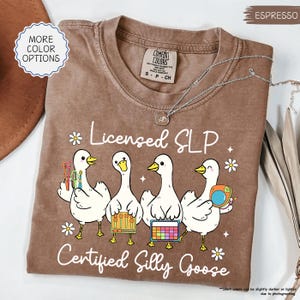 May include: Espresso-coloured t-shirt featuring the text "Licensed SLP Certified Silly Goose" and a graphic of four white cartoon geese holding tools. The shirt has a crew neck and short sleeves.