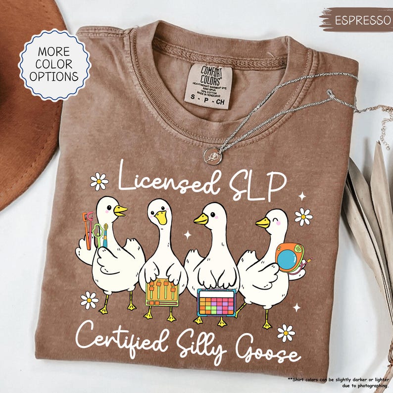 May include: Espresso-coloured t-shirt featuring the text "Licensed SLP Certified Silly Goose" and a graphic of four white cartoon geese holding tools. The shirt has a crew neck and short sleeves.