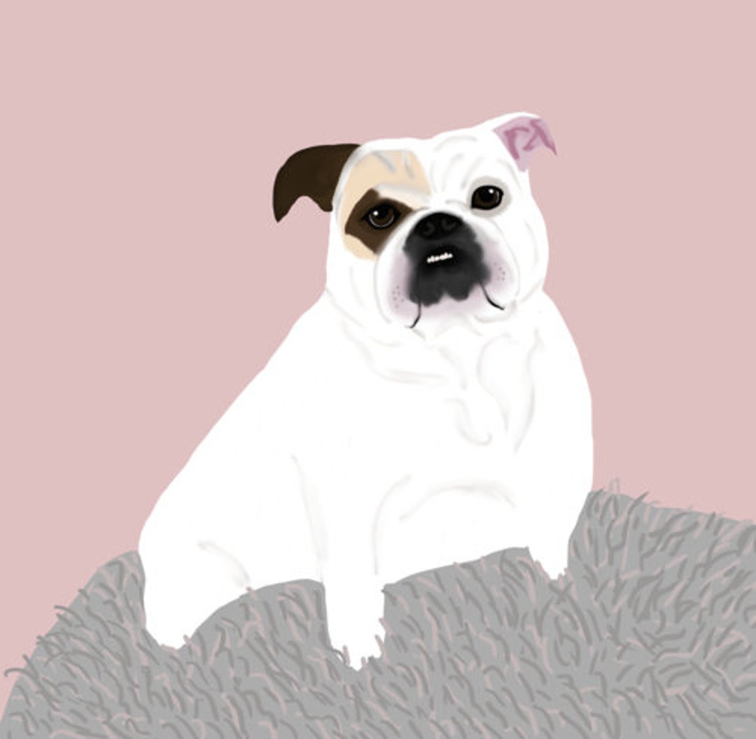 Illustrated Pet Portrait Art Print Etsy