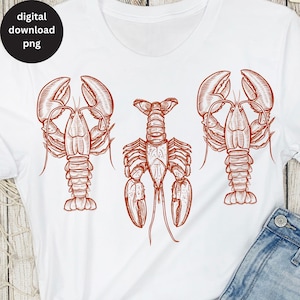 Langosta PNG, diseño de sublimación de camiseta de pescador, descarga digital estética de pescador, regalo de pescador de estilo vintage de moda, bolsa de langosta PNG