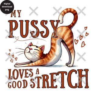 Magliette inappropriate per le donne PNG, maglietta audace per le donne sublimazione, design di maglietta stupida e divertente, umorismo divertente per adulti, regalo per gli amanti dei gatti PNG