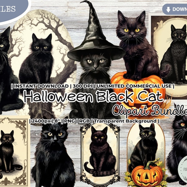 Halloween Black Cat Clipart Set, Witch, Pumpkin, Fall, Autumn, Vintage, Retro, Digital Sticker, Printable PNG Scrapbook Junk Journal Crafts