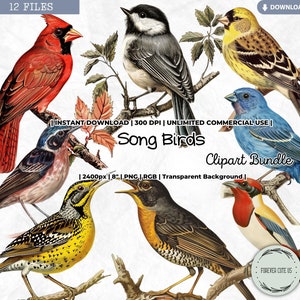 Clipart oiseaux chanteurs, oiseau de jardin vintage, éphémères d'oiseaux, carnet d'observation des oiseaux, journal des oiseaux, minable, PNG Scrapbooking Junk Journal artisanat
