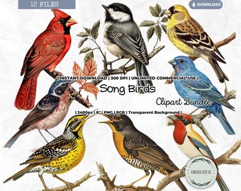 Song Birds Clipart, Vintage Garden Bird, Bird Ephemera, Bird Watching Log Book, Bird Journal, Shabby, PNG Scrapbooking Junk Journal Crafts