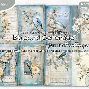 Bluebird Serenade Junk Journal Collage Sheet, Pássaro, Jardim, Livro de registro de observação de pássaros, Diário de pássaros, Shabby, Papel para scrapbooking, Papel digital