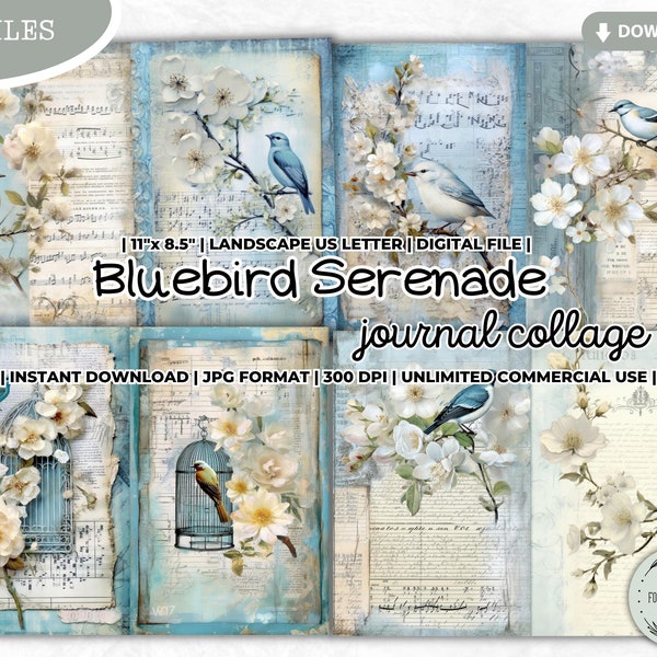 Bluebird Serenade Junk Journal Collage Sheet, Bird, Garden, Bird Watching Log Book, Bird Journal, Shabby, Scrapbooking Paper, Digital Paper