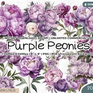 Lila Pfingstrosen, Lila Garten, Frühling, Cottagecore Png Clipart, Frühlingsgarten, Frühlingsblumen png, Frühling Clipart, Lila Blumen