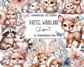 Pastel Woodland Clipart, Watercolor Clipart, Woodland Png, Woodland Animals, PNG File, Transparent Background, Instant Digital Download