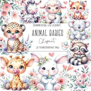 Bébés animaux, clipart aquarelle, animaux Png, clipart bébé, lot de cliparts, fichier PNG, fond Transparent, téléchargement numérique