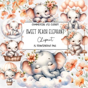 Sweet Peach Elephant, schattige olifant clipart, olifant PNG, baby clipart, clipart bundel, PNG-bestand, transparante achtergrond, digitale download