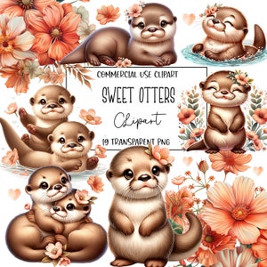 Süße Otter, Otter Clipart, Otter Png, Clipart Bundle, süße Tier Clipart, süße Tiere, transparenter Hintergrund, digitaler Download