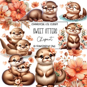 Sweet Otters, Otter Clipart, Otter Png, Clipart Bundle, Cute Animal Clipart, Cute Animals, Transparent Background, Digital Download