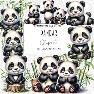Clipart de pandas, panda png, pacote de clipart de panda, pacote de clipart, arquivo PNG, fundo transparente, download digital