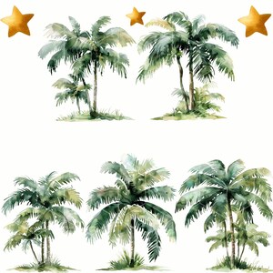 May include: Watercolor illustration of six palm trees with green leaves and brown trunks. The trees are arranged in two rows of three. There are three gold stars in the background.