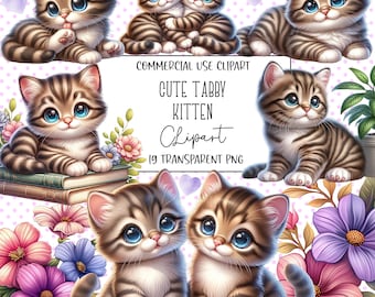 Tabby Kitten, Cat Clipart, Cute Cat Png, Kitten Clipart Bundle, Cute Animal Clipart, Cute Animals, Transparent Background, Digital Download