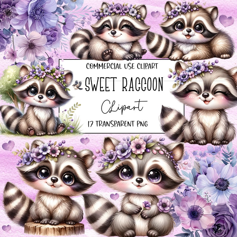 Söt tvättbjörn, tvättbjörn Clipart-paket, söt tvättbjörn PNG, akvarell Clipart, PNG-fil, transparent bakgrund, omedelbar digital nedladdning bild 1