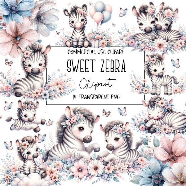 Sweet Zebra, Baby Girl, Baby Shower, Zebra Clipart, Watercolor Clipart, PNG File, Transparent Background, Instant Digital Download