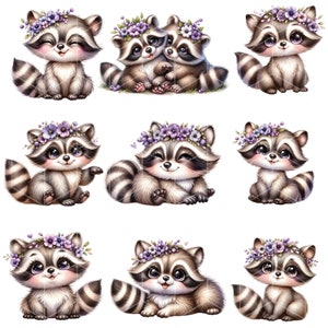 Söt tvättbjörn, tvättbjörn Clipart-paket, söt tvättbjörn PNG, akvarell Clipart, PNG-fil, transparent bakgrund, omedelbar digital nedladdning bild 2