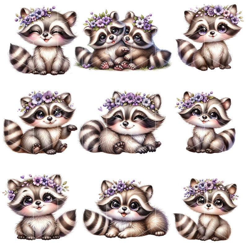 Söt tvättbjörn, tvättbjörn Clipart-paket, söt tvättbjörn PNG, akvarell Clipart, PNG-fil, transparent bakgrund, omedelbar digital nedladdning bild 2