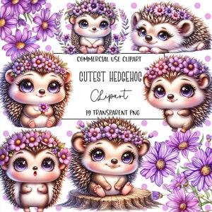 Ouriço mais fofo, pacote de clipart de ouriço, ouriço png, clipart de animal fofo, animais fofos, fundo transparente, download digital