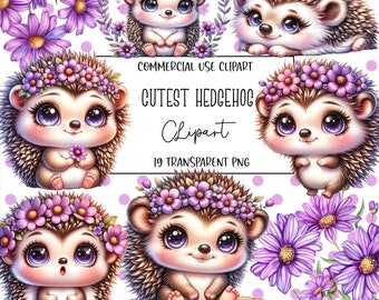 Cutest Hedgehog, Hedgehog Clipart Bundle, Hedgehog Png, Cute Animal Clipart, Cute Animals, Transparent Background, Digital Download