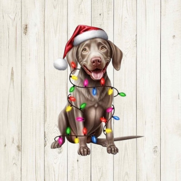 Christmas Puppy, Christmas Dog png, Christmas with Dogs png, Silver lab png, Labrador png, Sublimation, Christmas, instant digital download