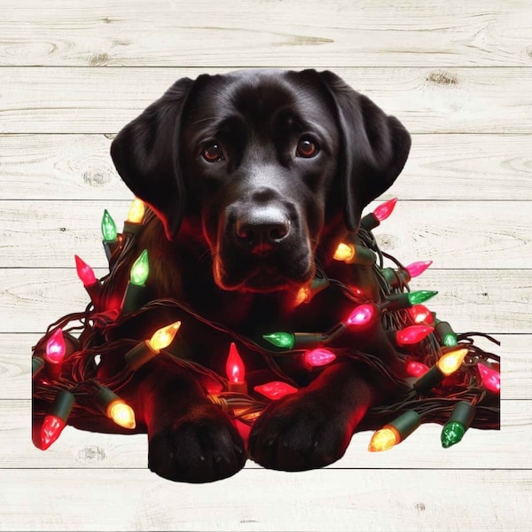 Christmas Puppy, Christmas Dog png, Christmas with Dogs png, Black lab png, Labrador png, Sublimation, Christmas, instant digital download