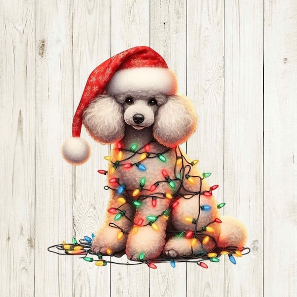 Christmas Puppy, Christmas Dog png, Christmas with Dogs png, Poodle png, Christmas Poodle png, Sublimation, instant digital download
