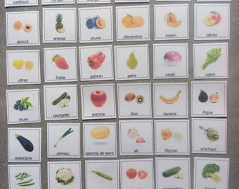 Lot 40 Pictograms fruits and vegetables autistic Montessori caa non-verbal autonomy vocabulary ASD ADHD