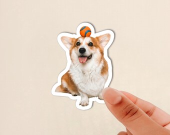May include: A die-cut sticker featuring a brown and white Corgi dog with a small orange and blue ball balanced on its head. The dog has a happy expression with its mouth open and tongue visible, captured in a realistic photographic style.