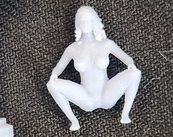 Adult Entertainers STL File Pre-Supported | 1:64 Scale | DIGITAL | 1007