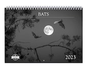 Bats 2023 Wall Calendar 