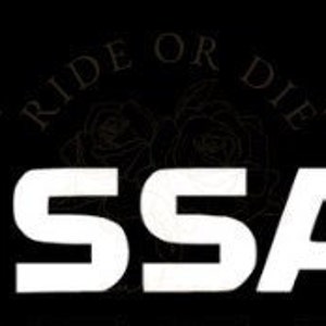 Nissan Removable Vinyl Decal Sticker - 1 decal - Multi Colors