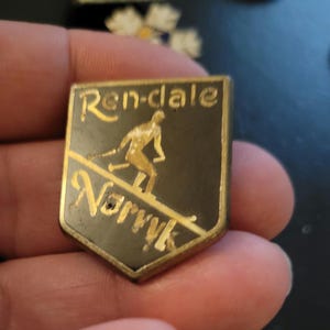 May include: A gold and black metal pin with the text "Ren-dale" and "Norvik" in gold lettering. A skier is depicted in the centre of the pin.