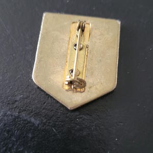 May include: The back of a gold-toned metal pin with a safety clasp. The pin is shaped like a shield.