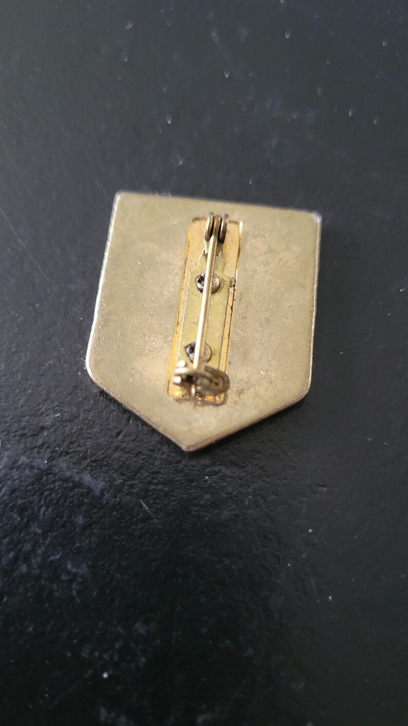 May include: The back of a gold-toned metal pin with a safety clasp. The pin is shaped like a shield.