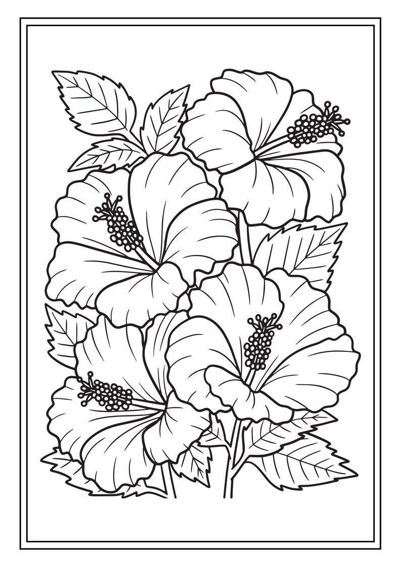 25 Beautiful Flower Coloring Pages Printable PDF Instant Etsy