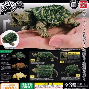 Pode incluir: Figura detalhada de uma tartaruga-aligátor com a boca aberta, mostrando pele texturizada e uma carapaça verde escura. A imagem inclui figuras de tartarugas menores e texto em japonês, destacando as características e variações do brinquedo.