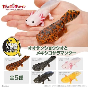 Bandai "Diversity of Life on Earth" Axolotl & Japanese Giant Salamander Gachapon