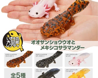 Bandai "Diversidad de la vida en la Tierra" Ajolote y salamandra gigante japonesa Gachapon