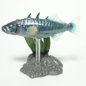Yujin Primary Color Freshwater Fish Encyclopedia I Gashapon Stickleback